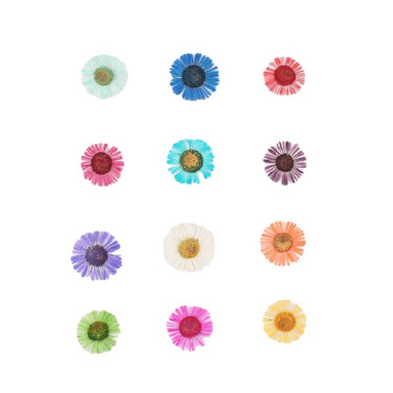 1 takım preslenmiş kurutulmuş  - Dried Flower Bookmark incelemesi ve fiyatı