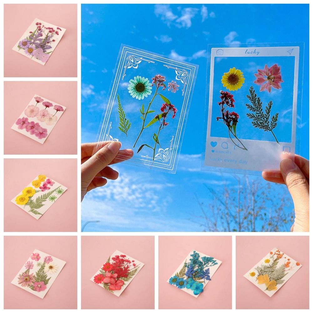 Kendin Yap Malzemeleri Kendin  - Dried Flower Bookmark incelemesi ve fiyatı