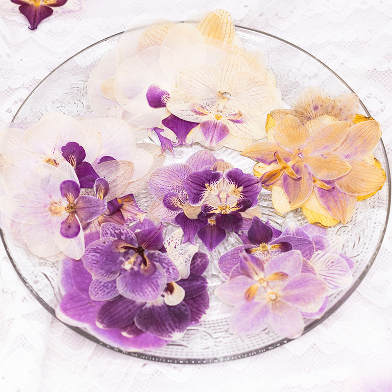 4 adet preslenmiş kurutulmuş P - Dried Flower Bookmark incelemesi ve fiyatı