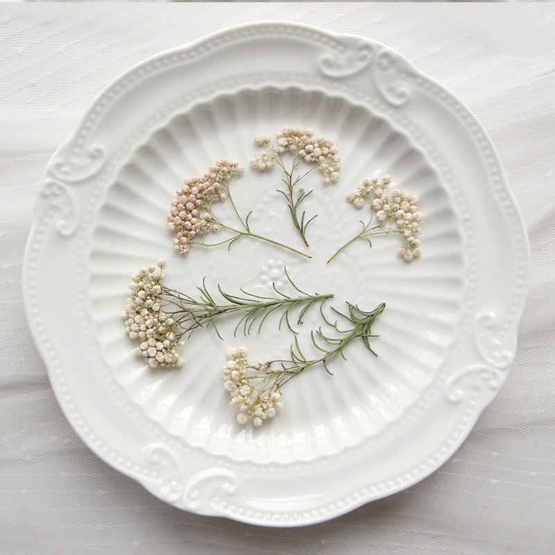 12 adet, Doğa Darı Çiçek Dalla - Dried Flower Bookmark incelemesi ve fiyatı
